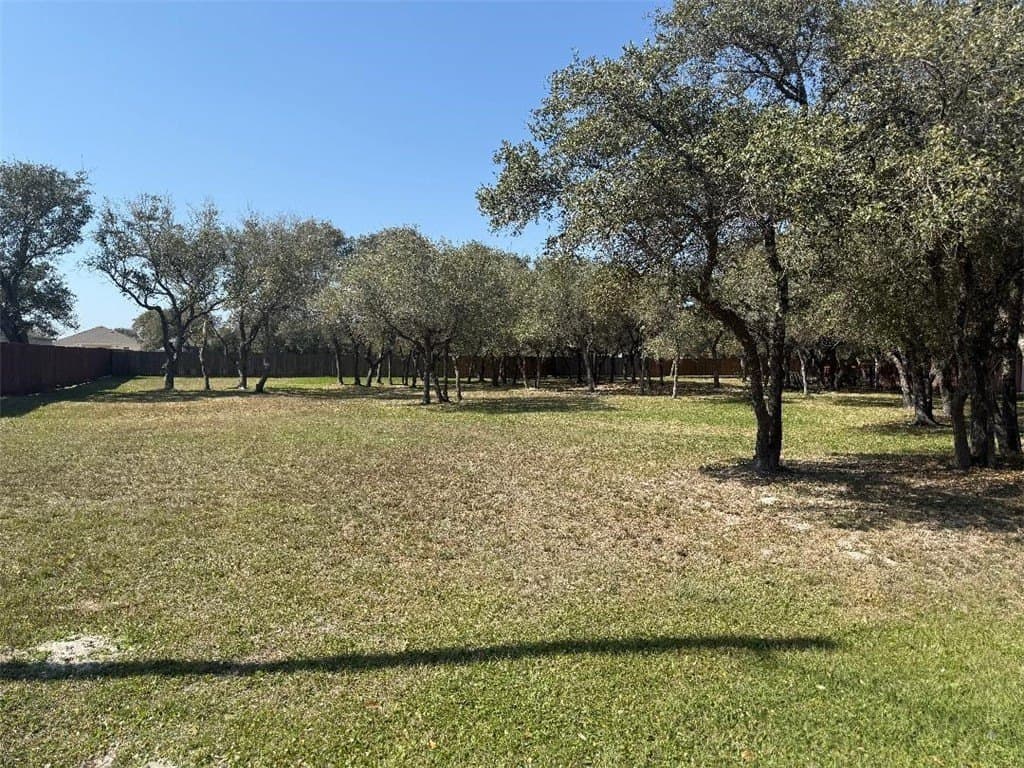 0 acres in San Patricio County - photo 4