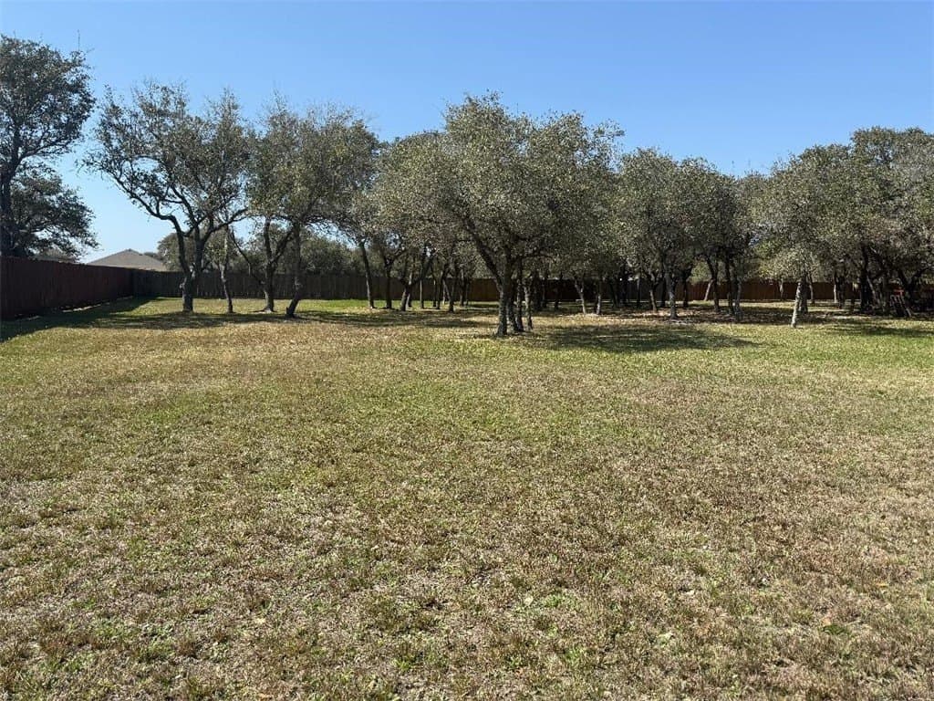 0 acres in San Patricio County - photo 5