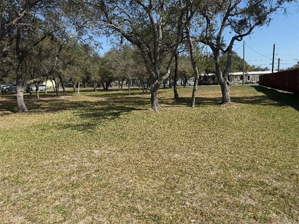 0 acres in San Patricio County - photo 6