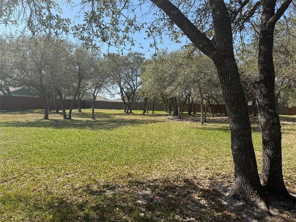 0 acres in San Patricio County - photo 2
