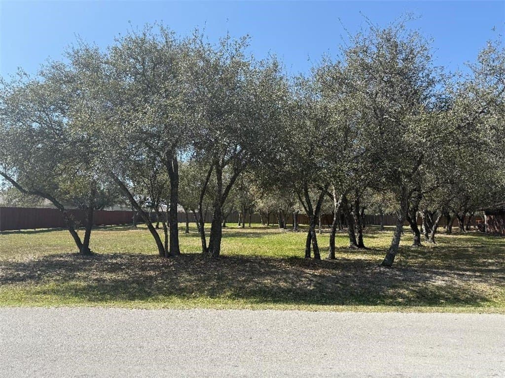 0 acres in San Patricio County - photo 9