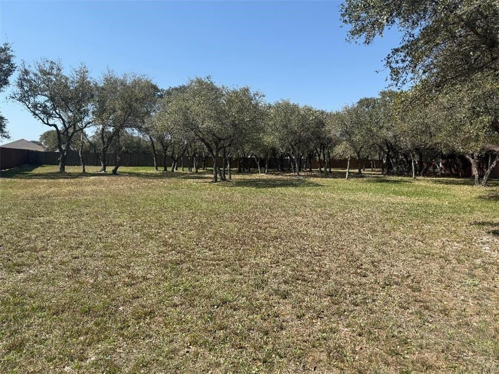 0 acres in San Patricio County - photo 3