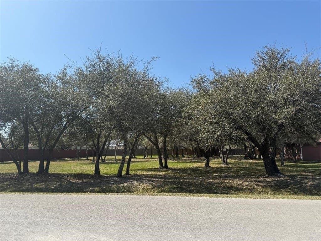 0 acres in San Patricio County - photo 10