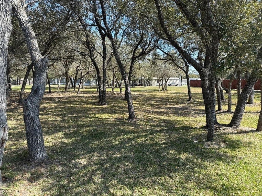 0 acres in San Patricio County - photo 8