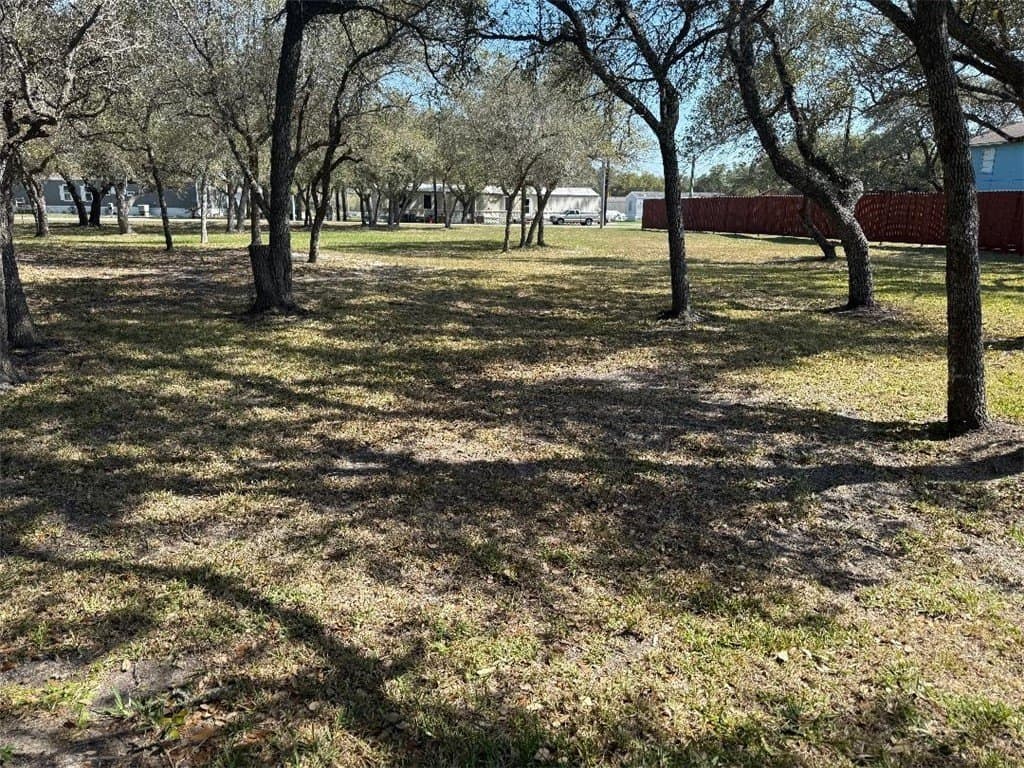 0 acres in San Patricio County - photo 7