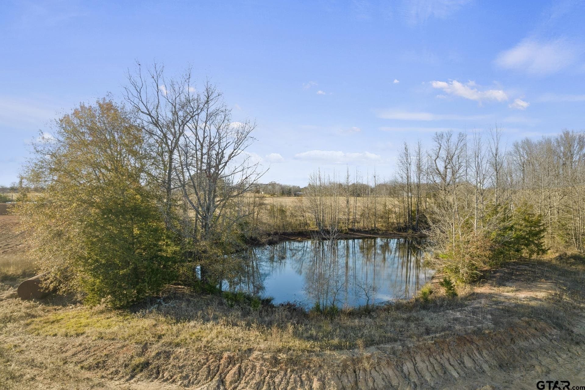 37.39 acres in Titus County - photo 19