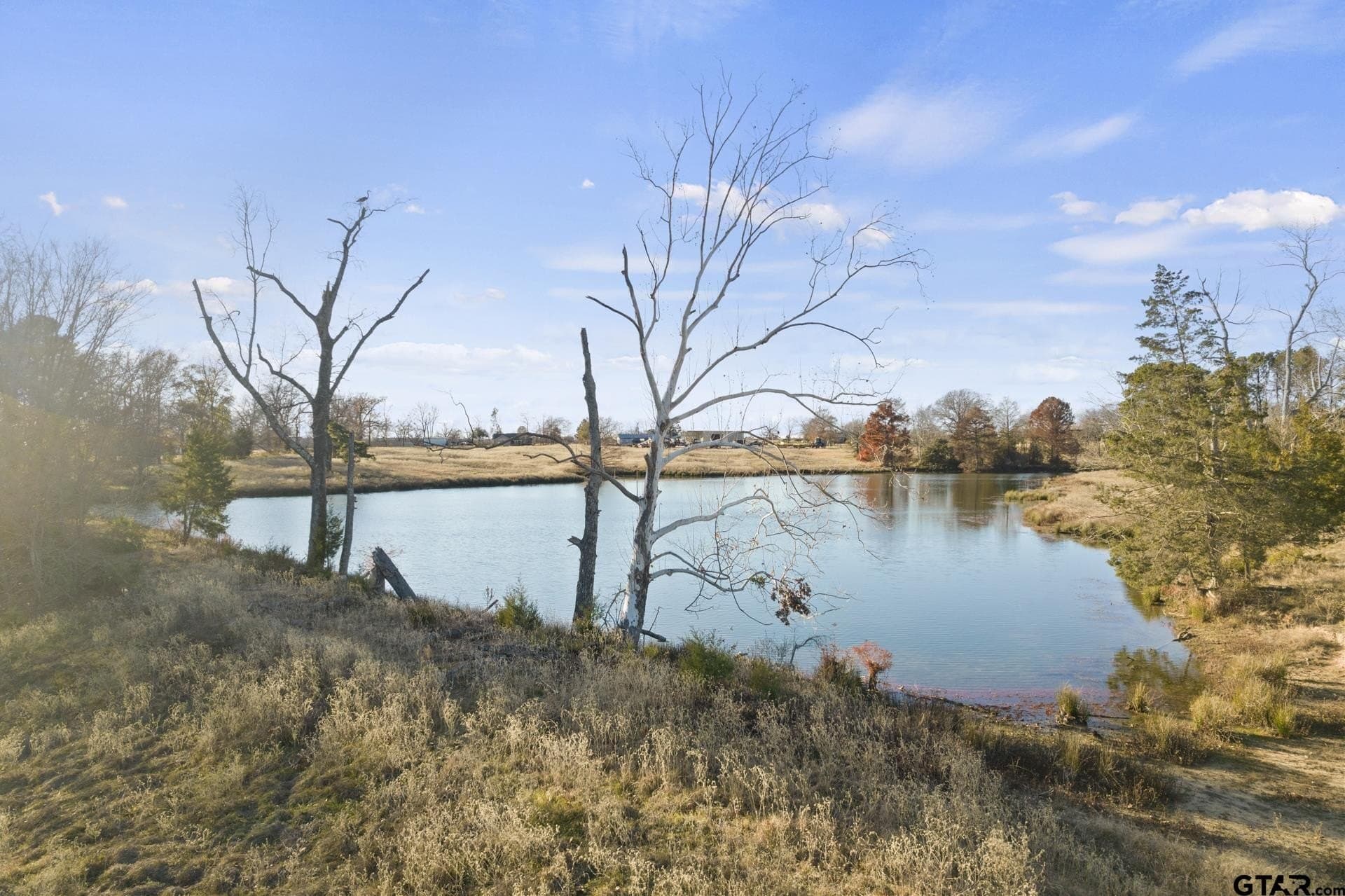 37.39 acres in Titus County - photo 18