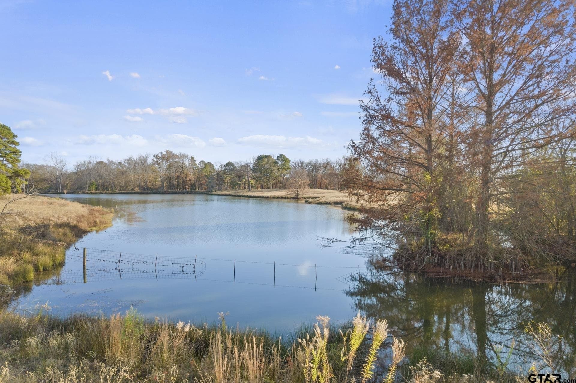 37.39 acres in Titus County - photo 16