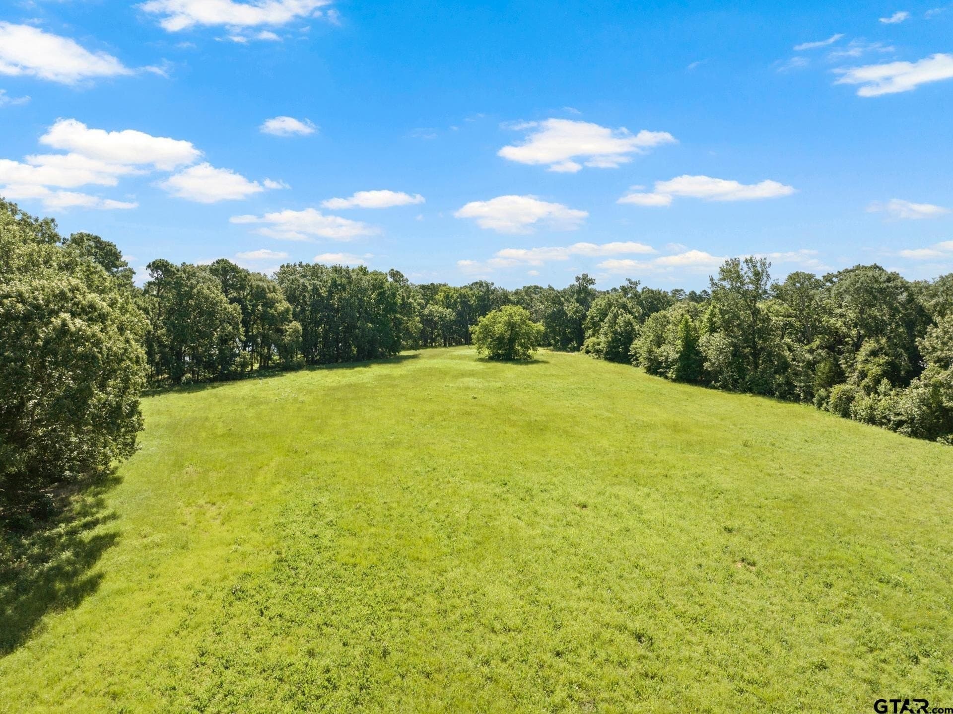 68.3 acres in Titus County - photo 17