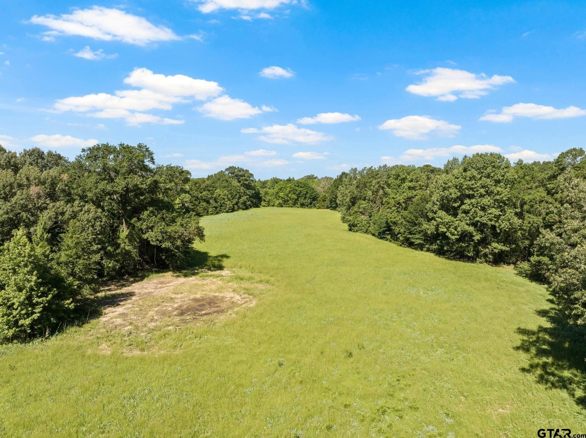 68.3 acres in Titus County - photo 16