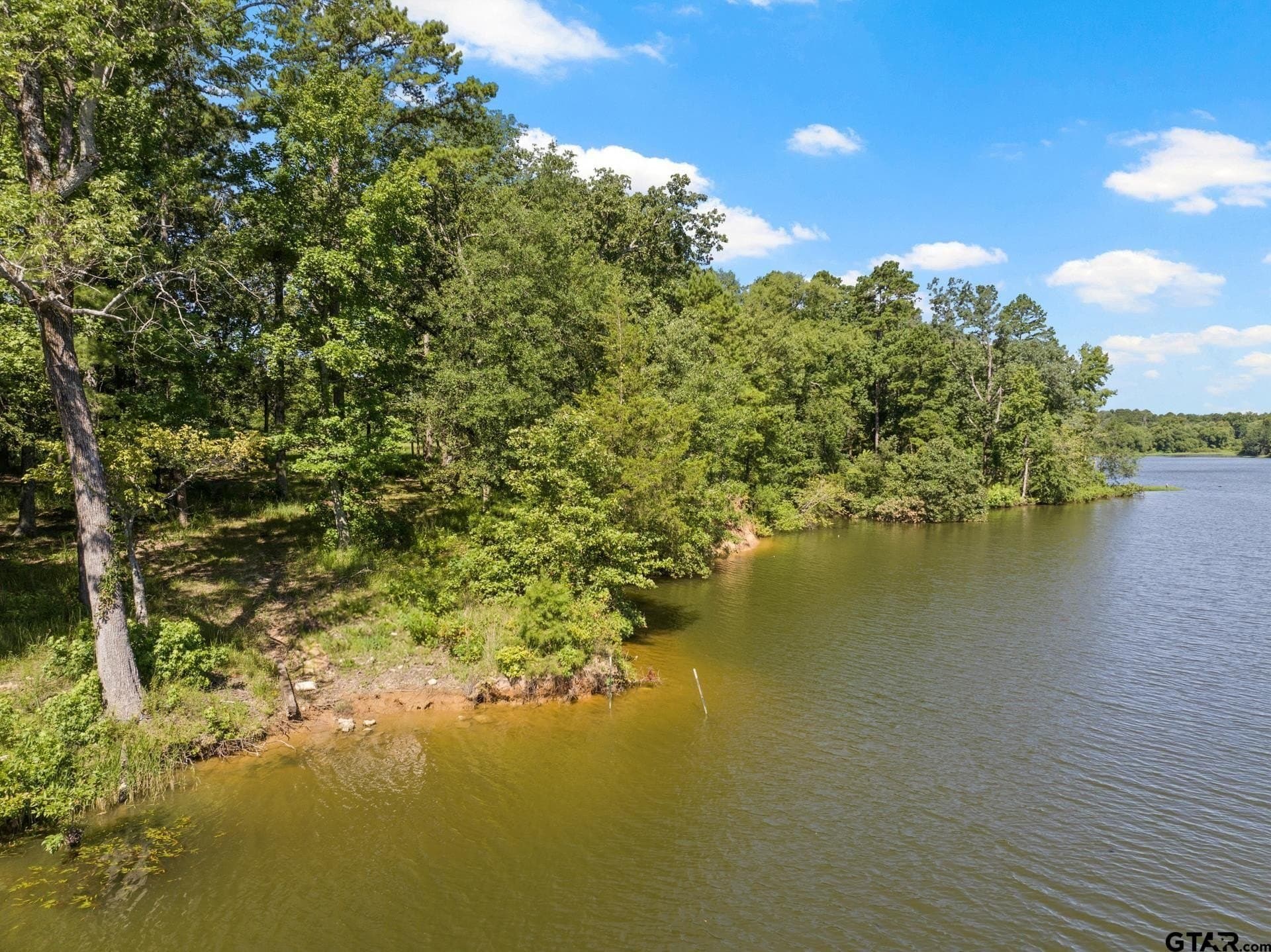 68.3 acres in Titus County - photo 11