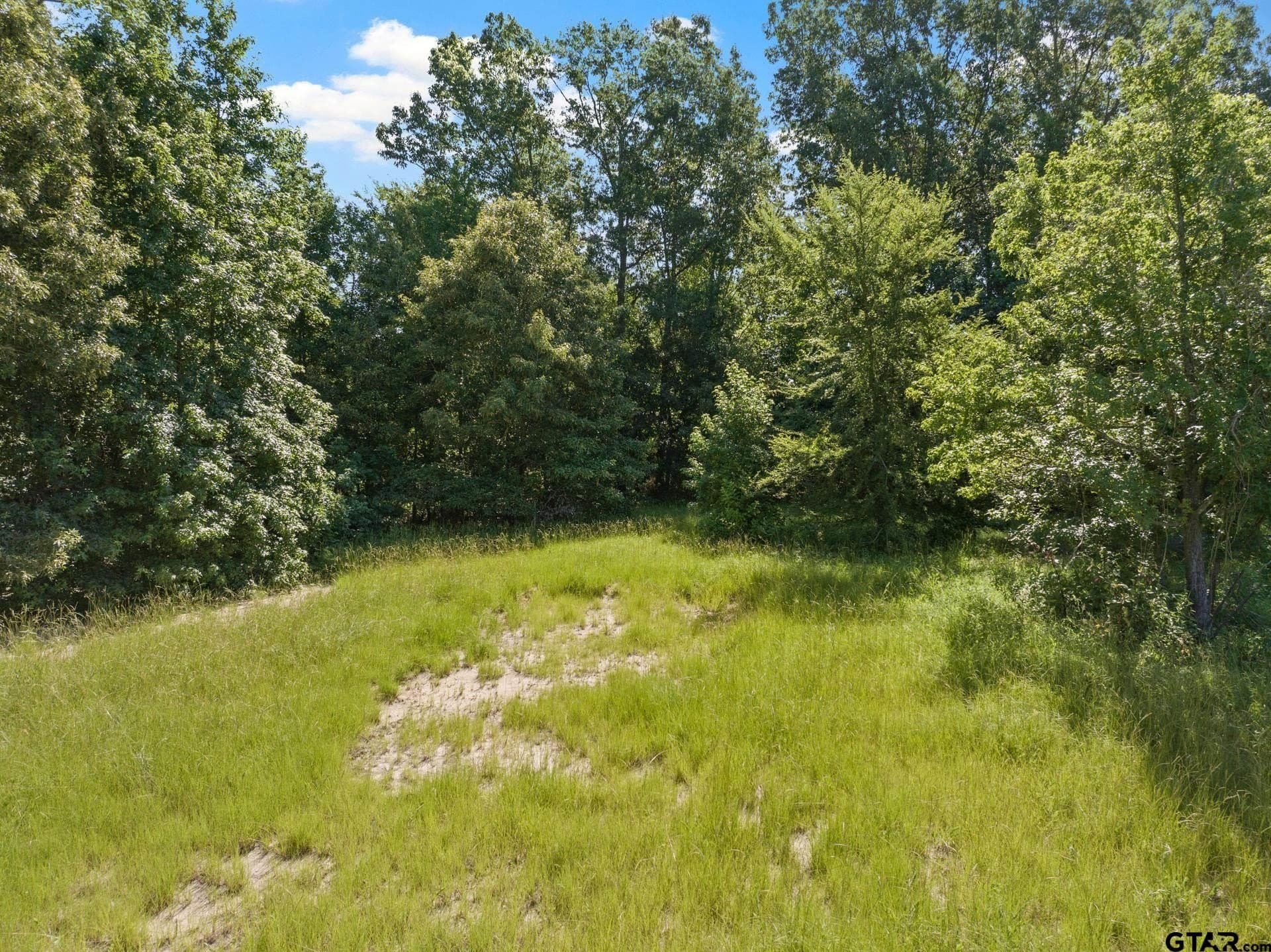 68.3 acres in Titus County - photo 8