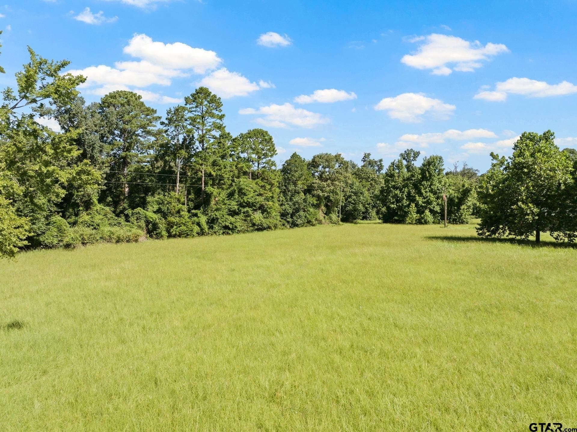 68.3 acres in Titus County - photo 7
