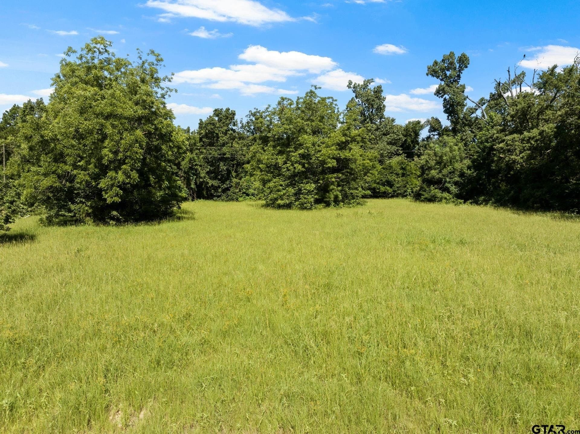 68.3 acres in Titus County - photo 9
