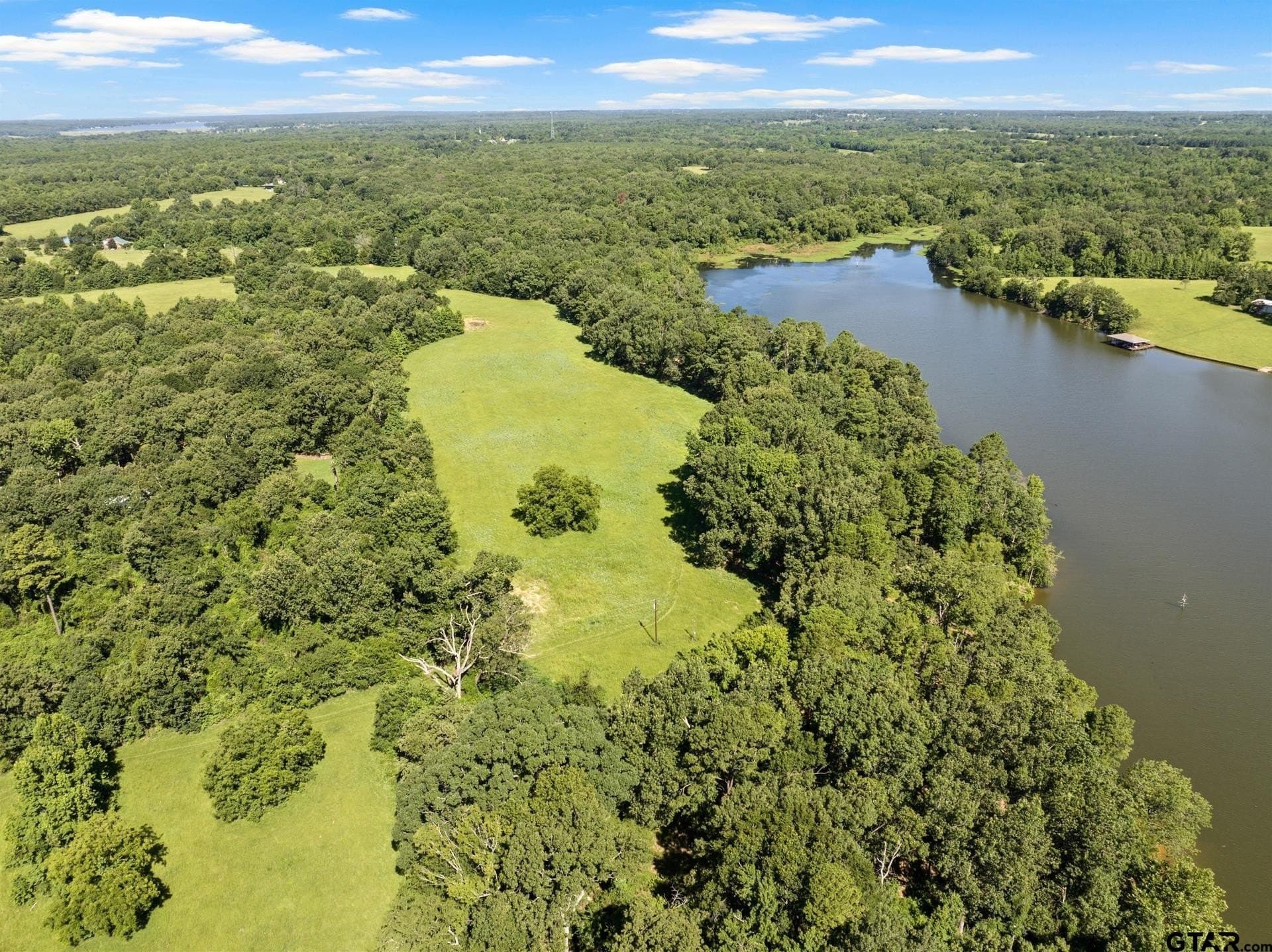 68.3 acres in Titus County - photo 14