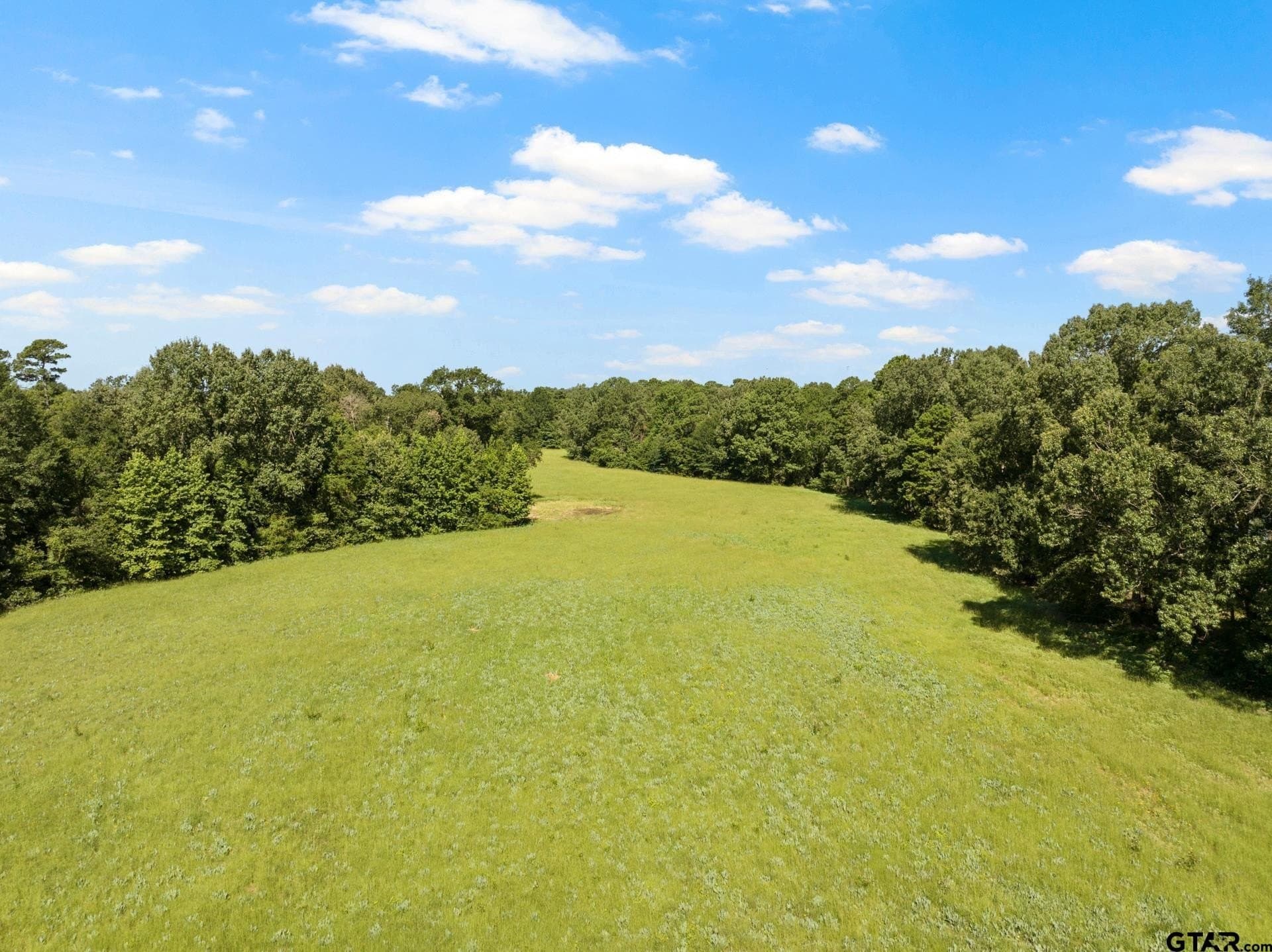 68.3 acres in Titus County - photo 15