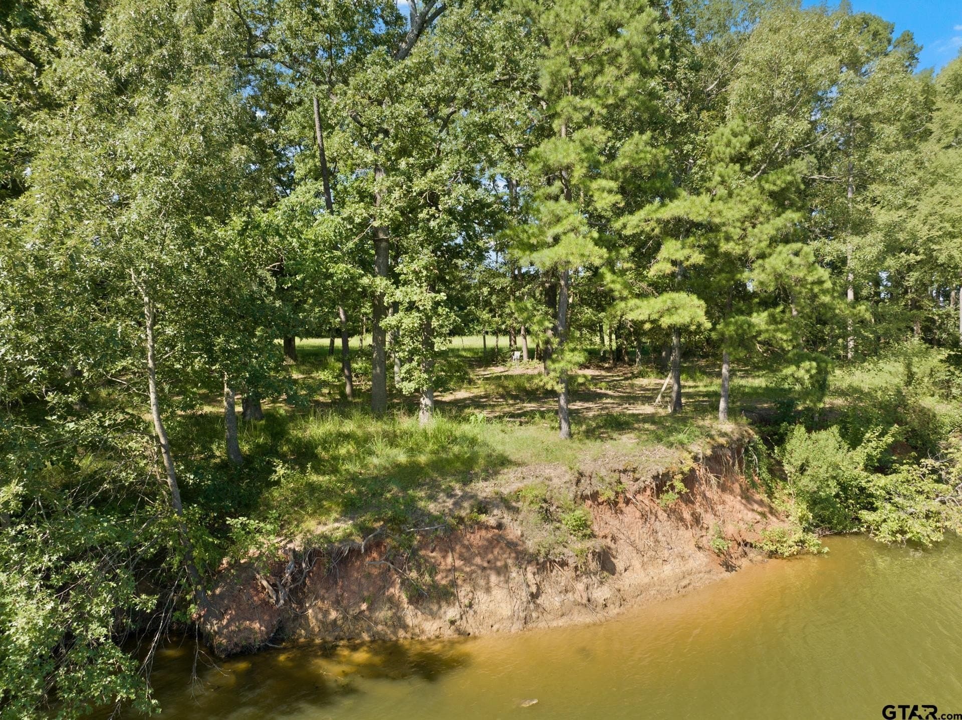 68.3 acres in Titus County - photo 12