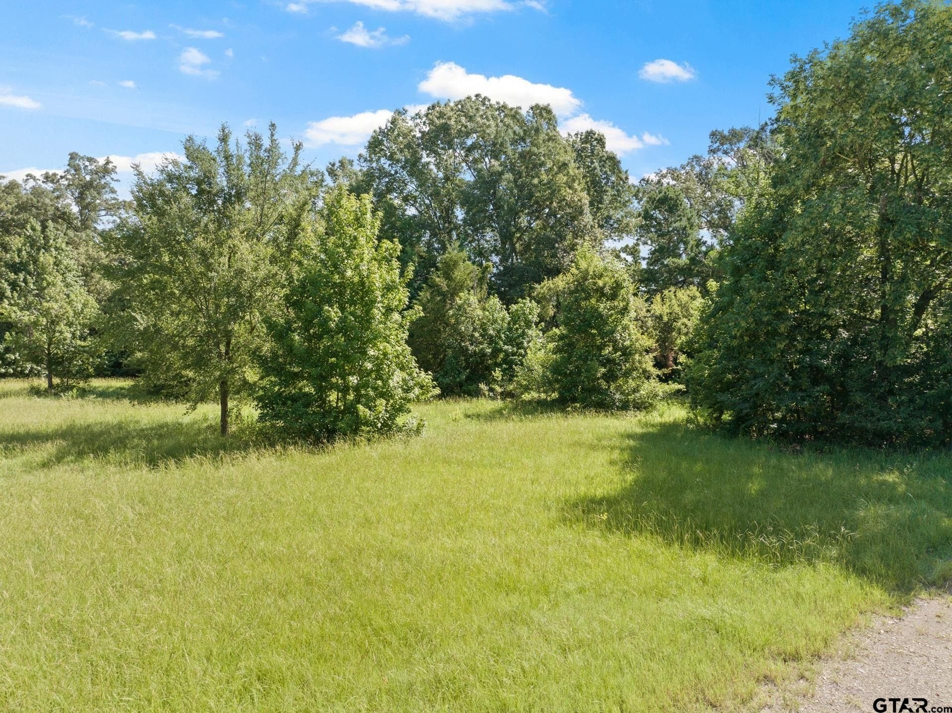 68.3 acres in Titus County - photo 2