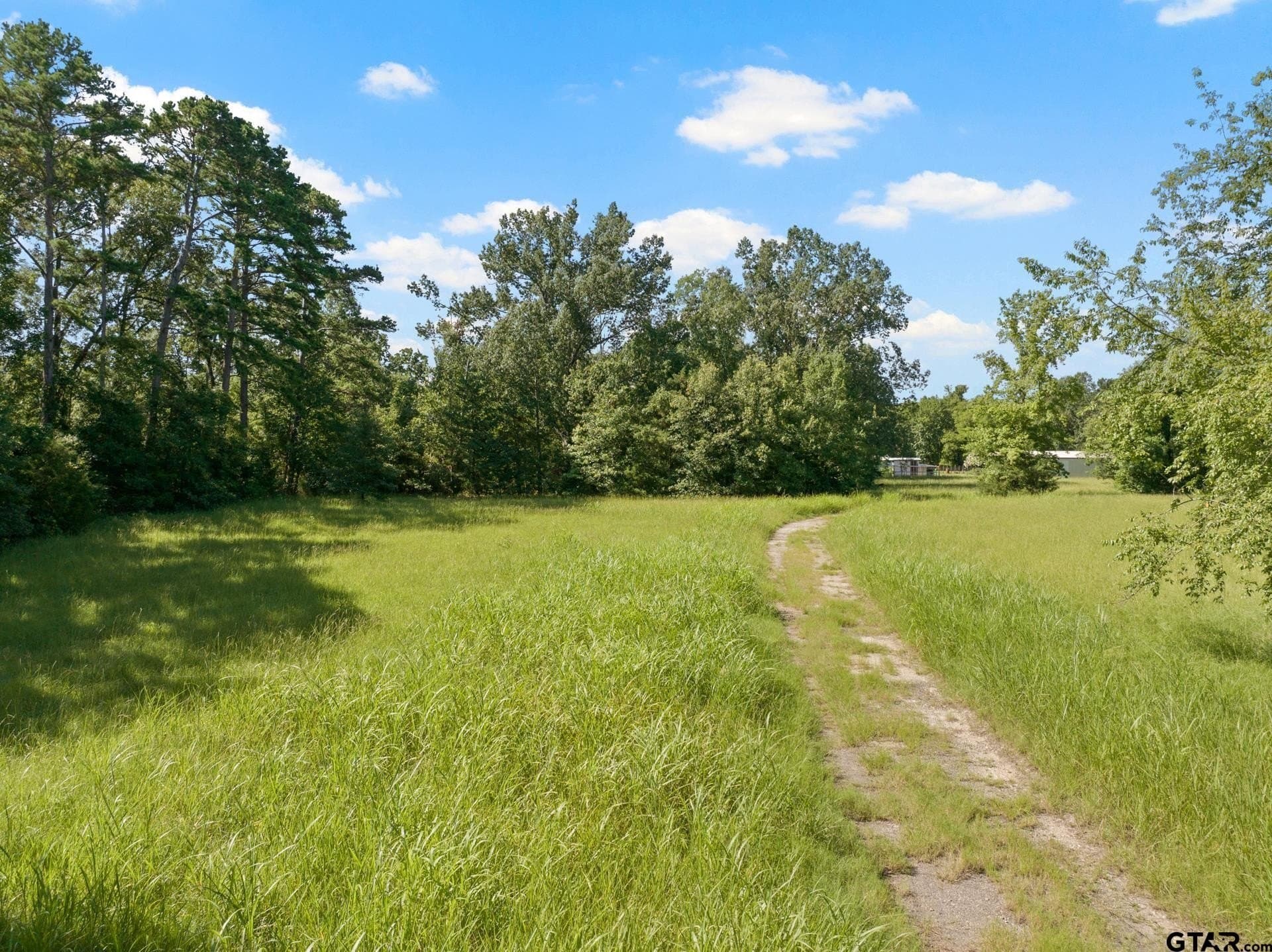 68.3 acres in Titus County - photo 3