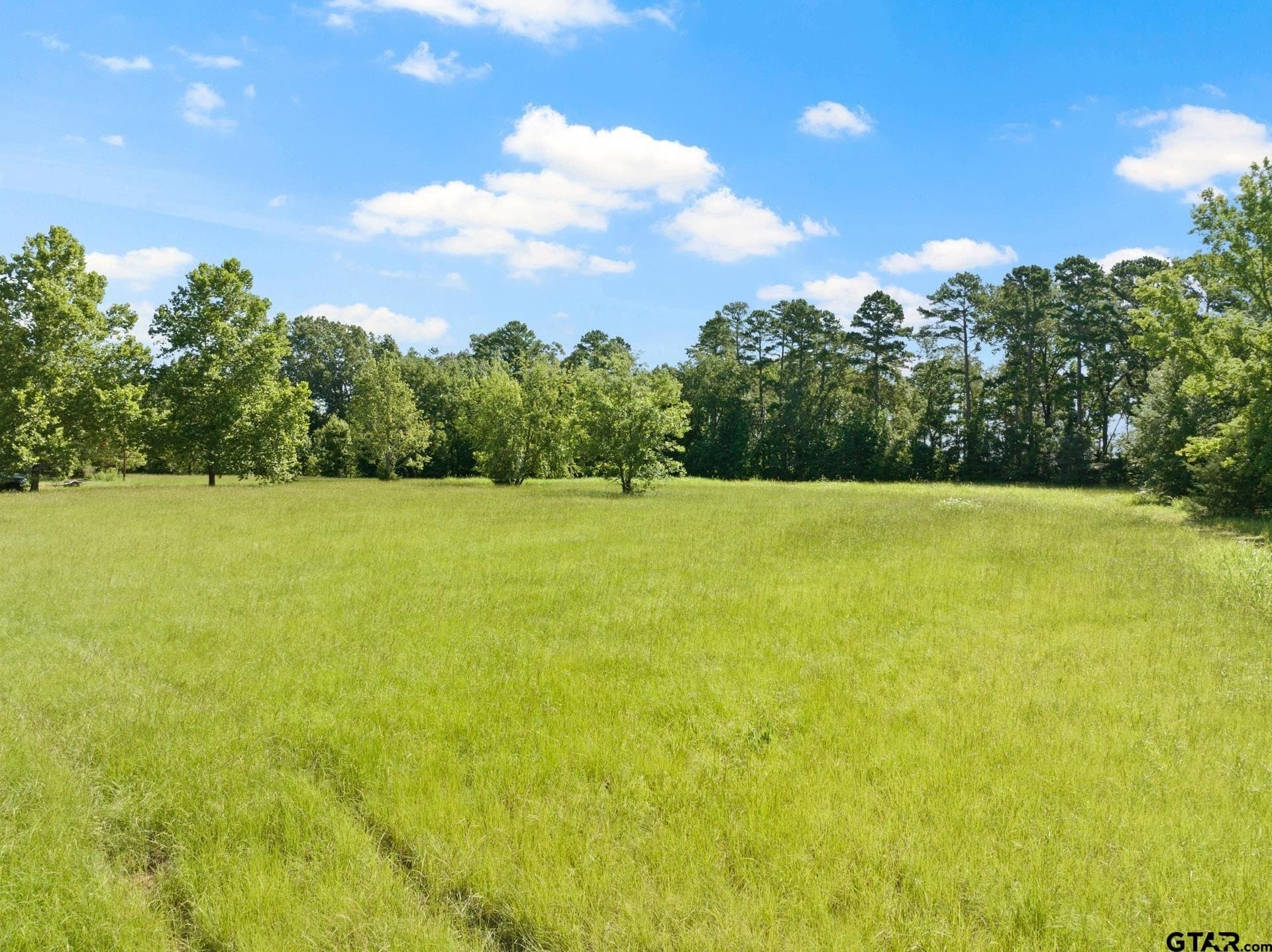 68.3 acres in Titus County - photo 6