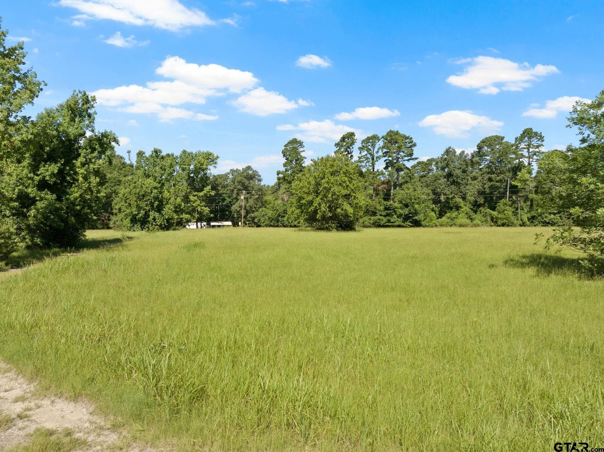 68.3 acres in Titus County - photo 4