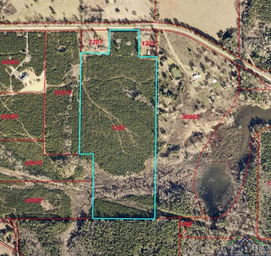 19.2 acres in Marion County - photo 3