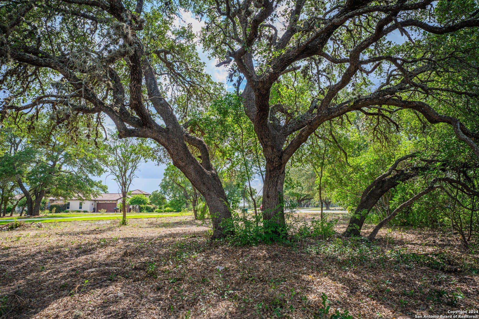 2.05 acres in Bexar County - photo 3
