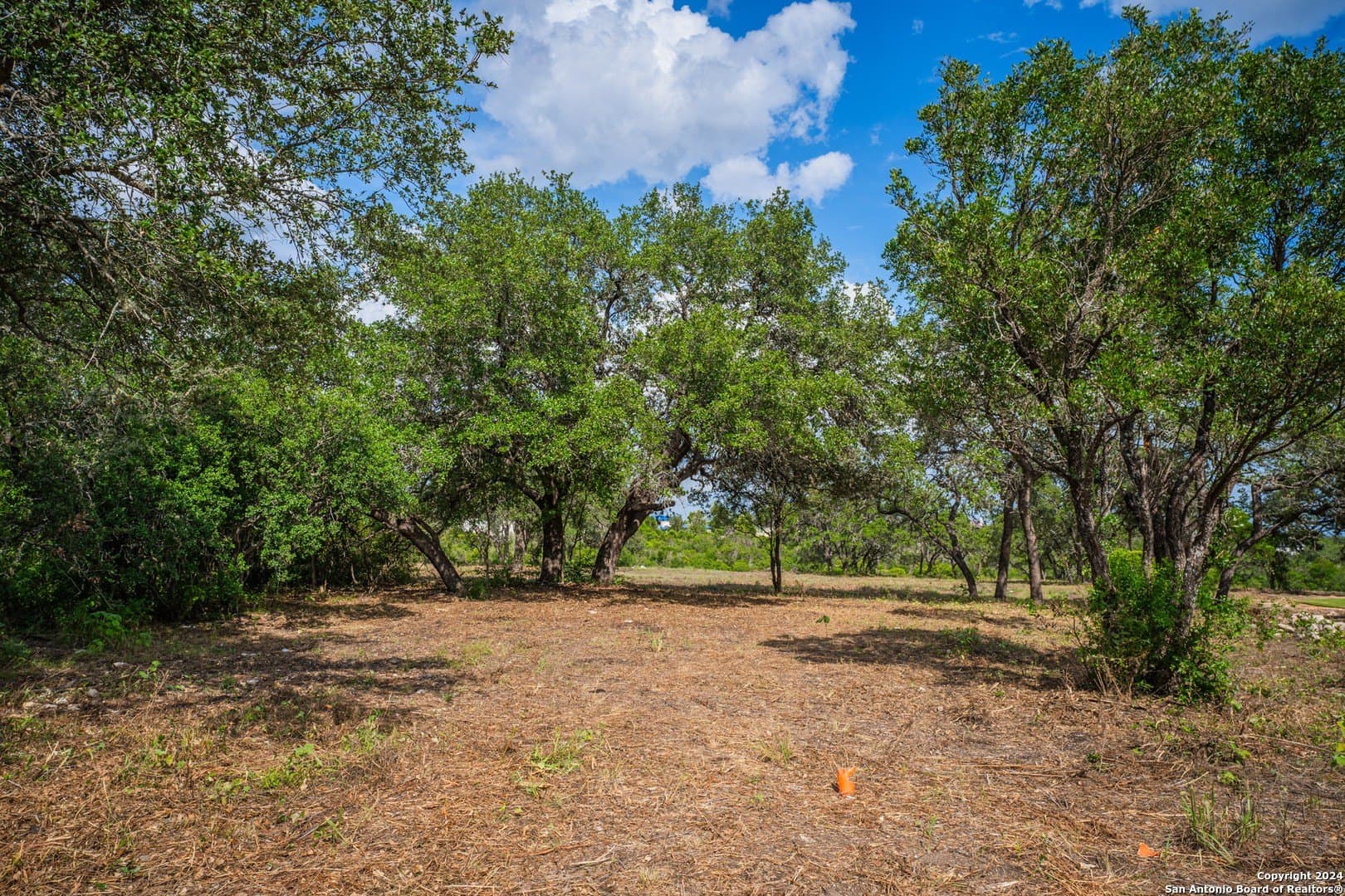 2.05 acres in Bexar County - photo 2