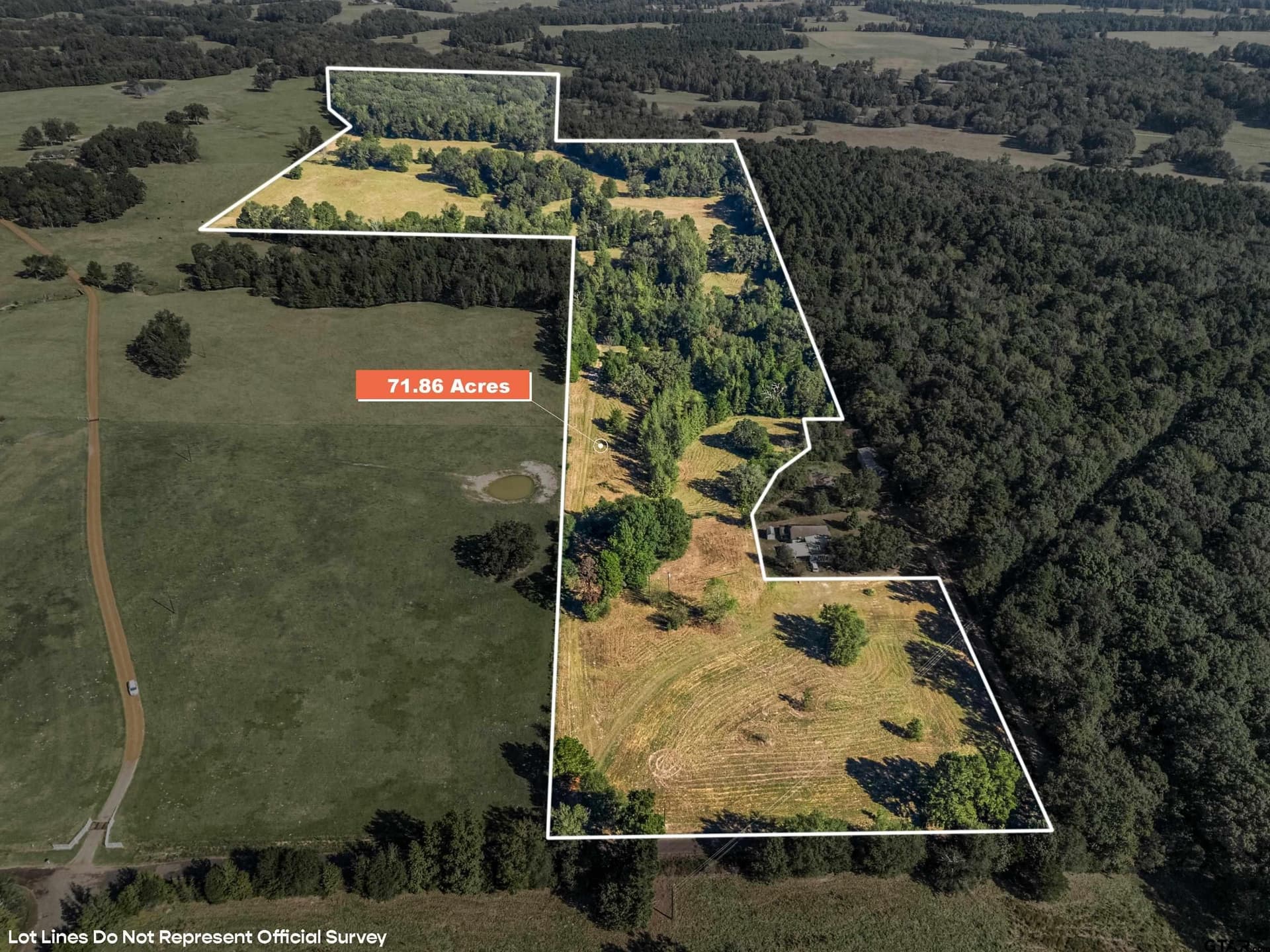 TBD Giraffe Rd