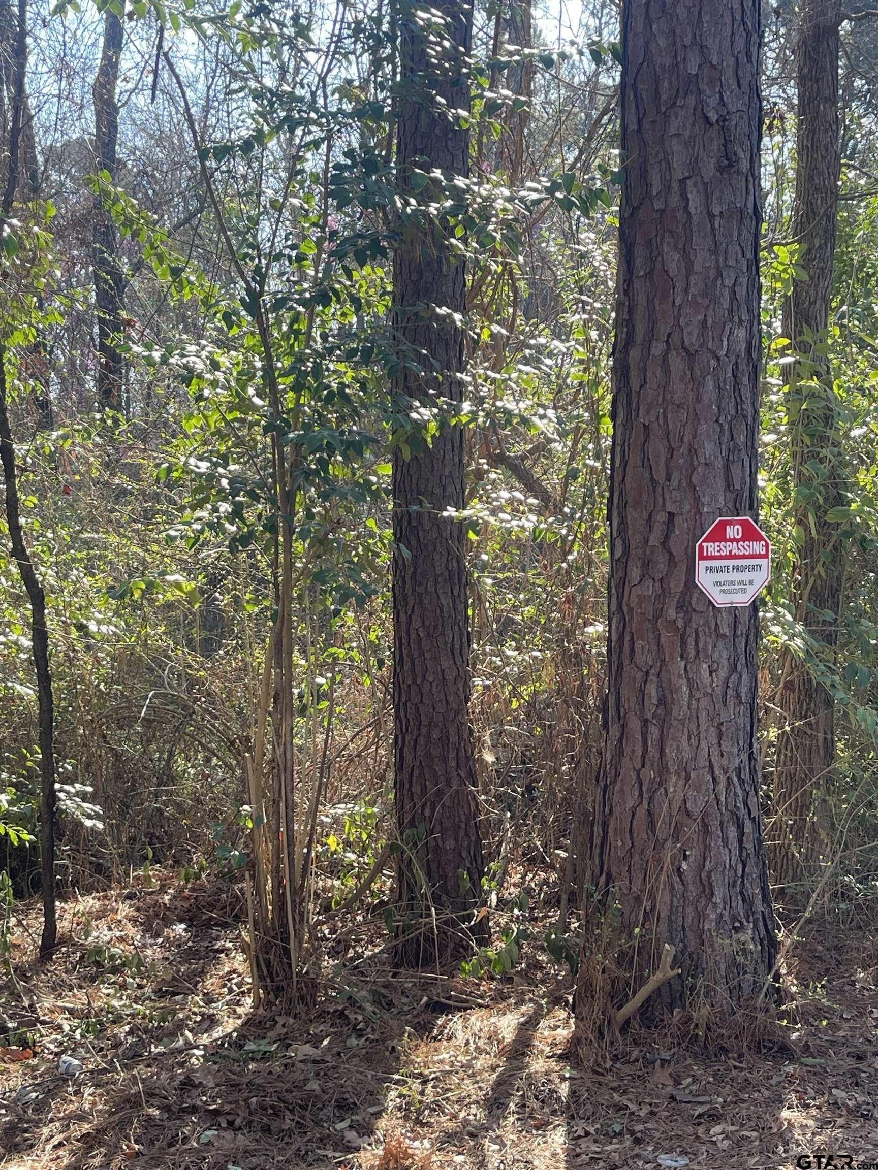1.08 acres in Smith County - photo 2