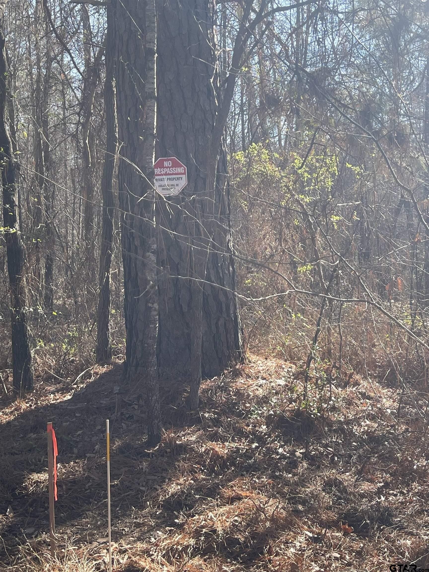 1.08 acres in Smith County - photo 5