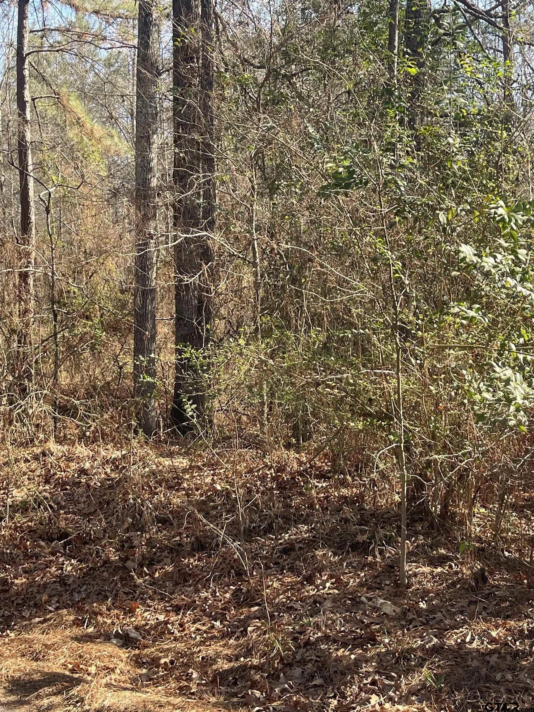 1.08 acres in Smith County - photo 4