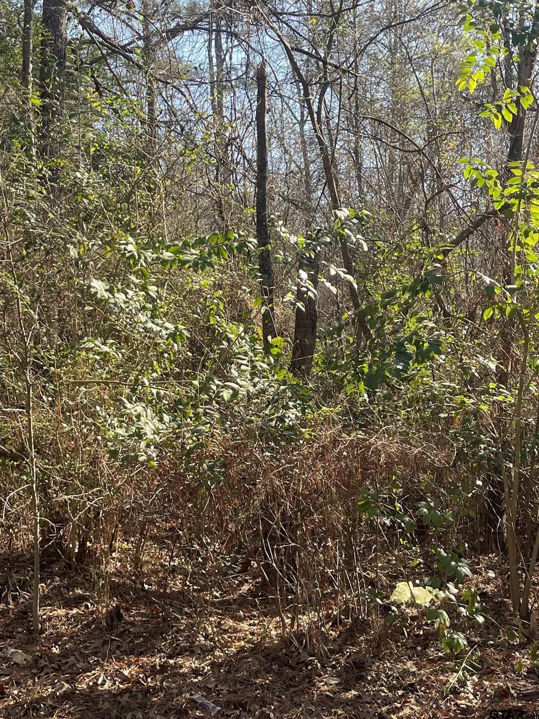 1.08 acres in Smith County - photo 3