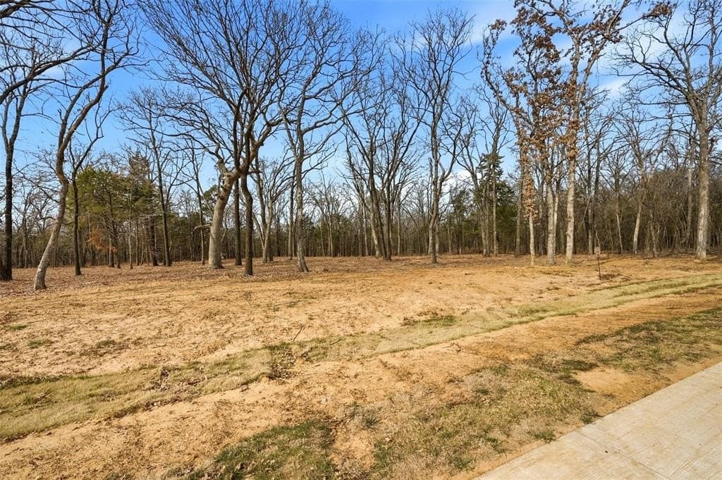 1.1 acres in Grayson County - photo 5