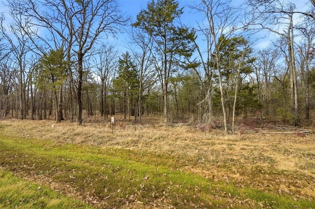 1.1 acres in Grayson County - photo 4