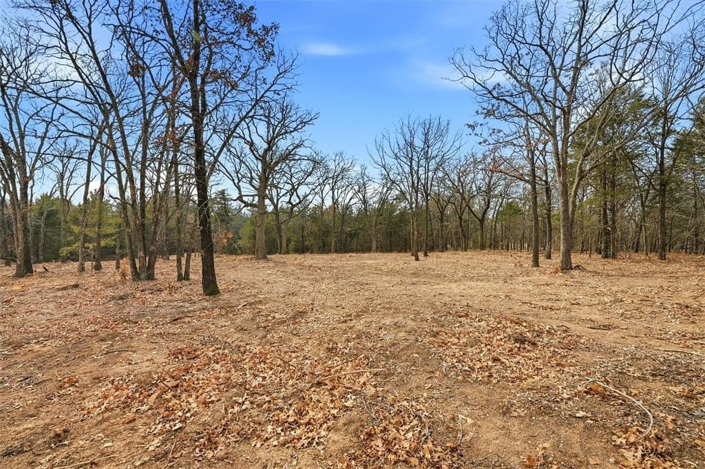 1.1 acres in Grayson County - photo 9