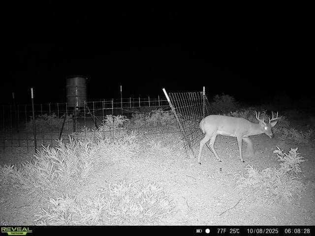 42.35 acres in Val Verde County - photo 12