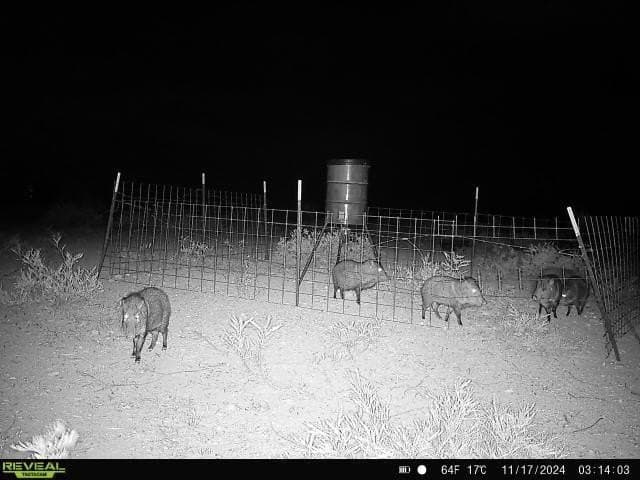 42.35 acres in Val Verde County - photo 11