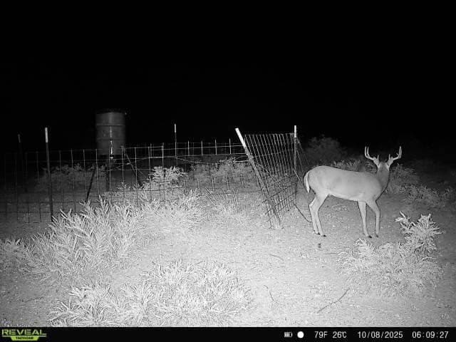 42.35 acres in Val Verde County - photo 7