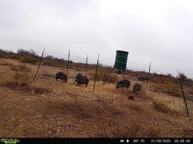 42.35 acres in Val Verde County - photo 13