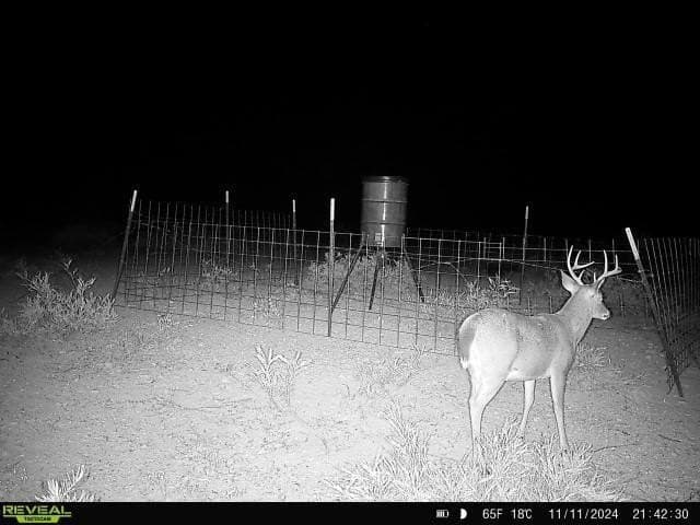 42.35 acres in Val Verde County - photo 10