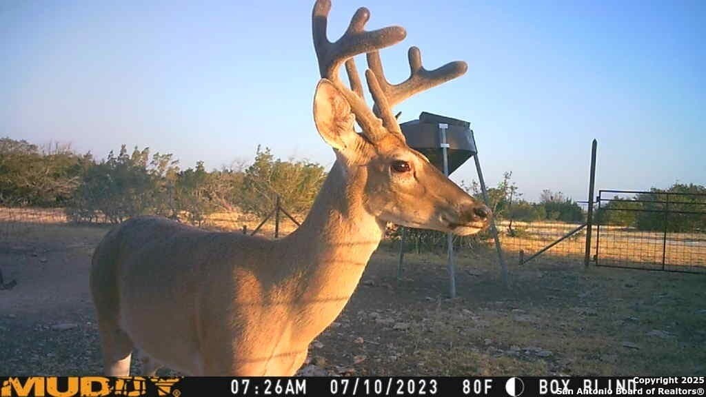 77.24 acres in Edwards County - photo 5