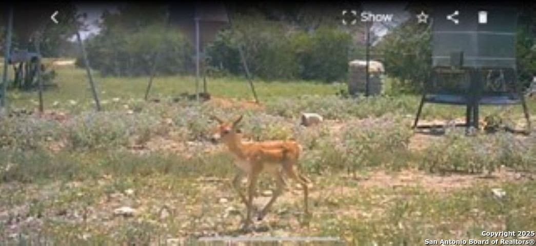 77.24 acres in Edwards County - photo 10