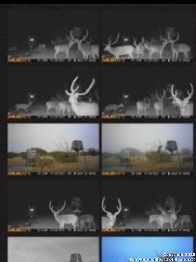 77.24 acres in Edwards County - photo 6