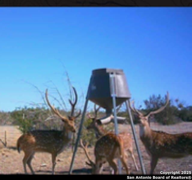 77.24 acres in Edwards County - photo 4