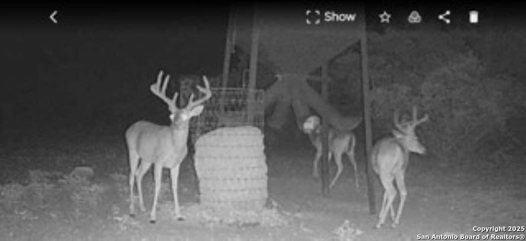 77.24 acres in Edwards County - photo 11