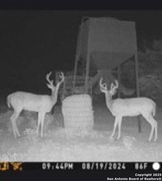77.24 acres in Edwards County - photo 3