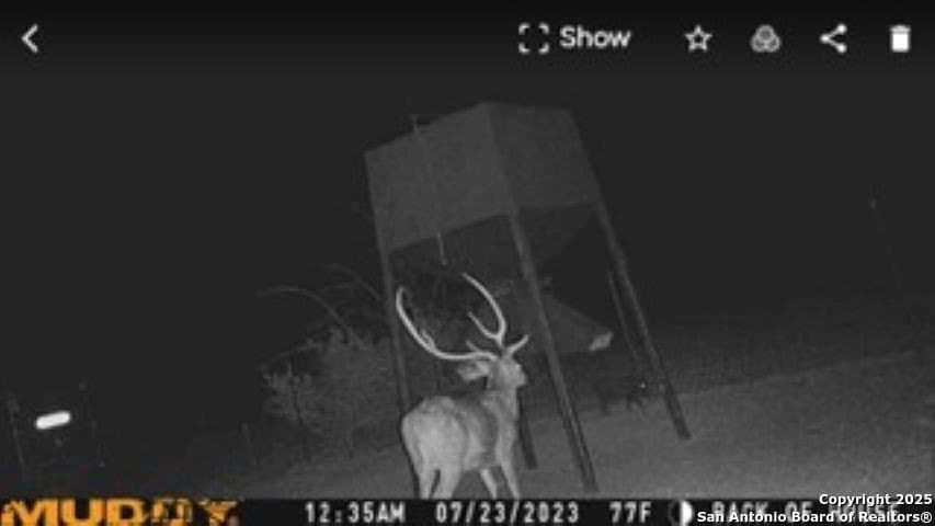 77.24 acres in Edwards County - photo 9