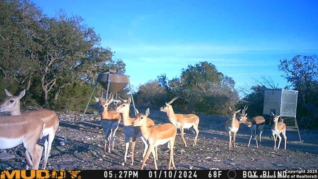 77.24 acres in Edwards County - photo 7