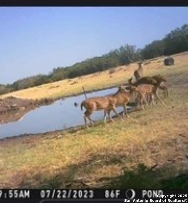 77.24 acres in Edwards County - photo 2